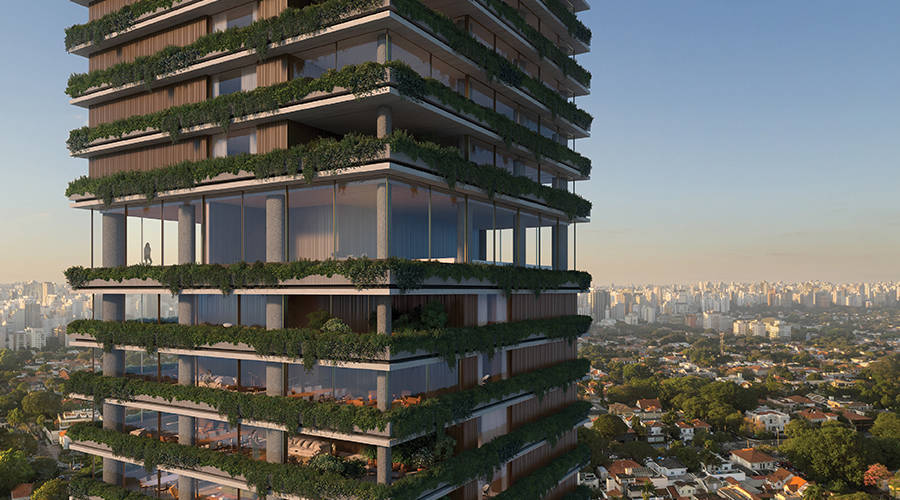 Reserva São Caetano – Vegetação Sacadas